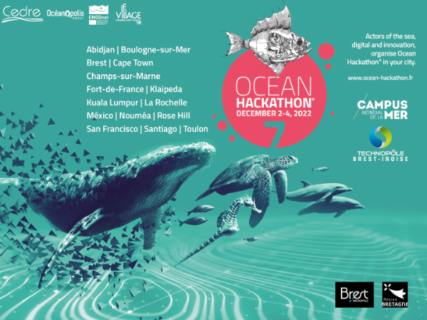 Desafíos del Ocean Hackathon 2022