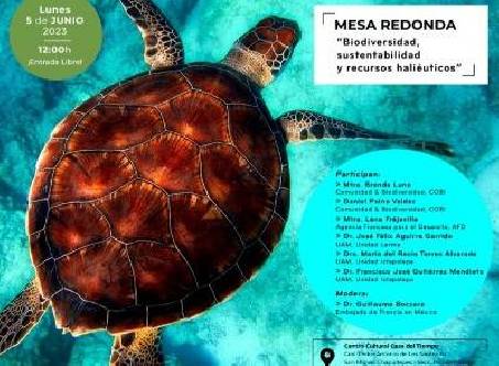 Mesa redonda "Biodiversidad, sustentabilidad y recursos haliéuticos"